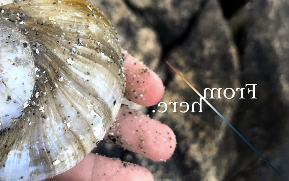 "From Here" atop a photo of someone holding a seashell